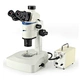 Parallel Light Zoom Stereo Microscope